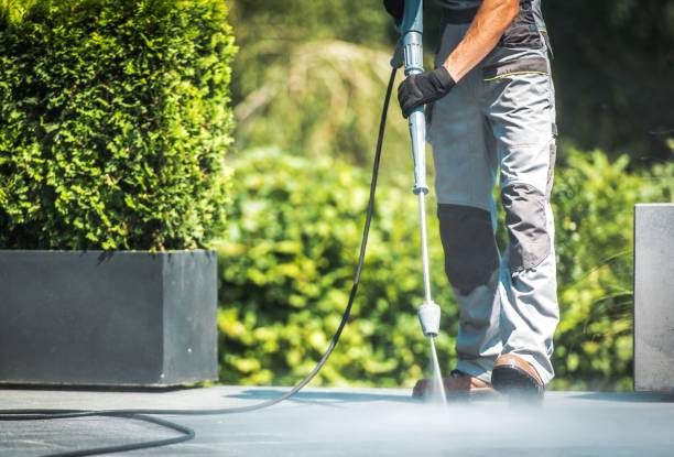 Best Dumpster Area Cleaning  in North Charleroi, PA